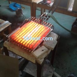 induction brazing shoe mould